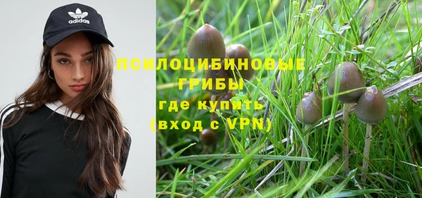 таблы Верея